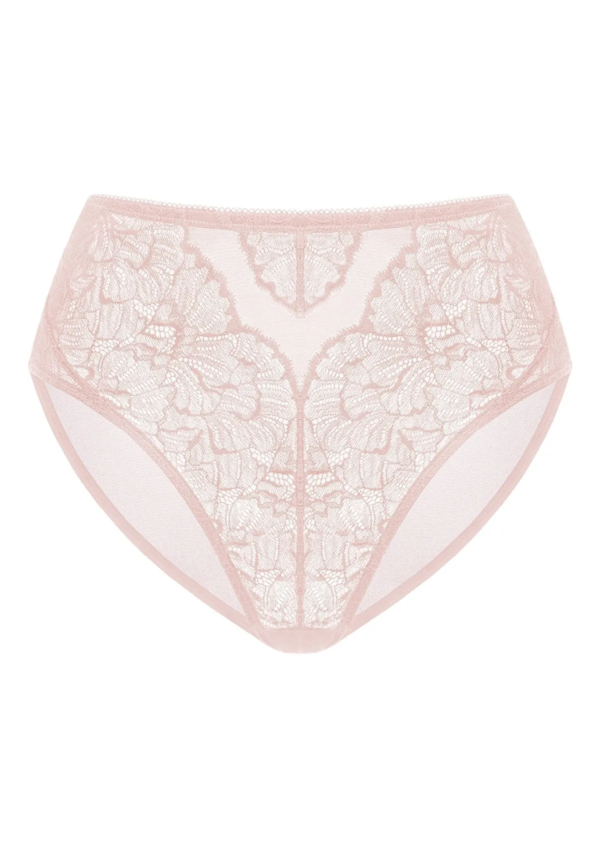 Blossom High-Rise Dark Pink Lace Brief Underwear