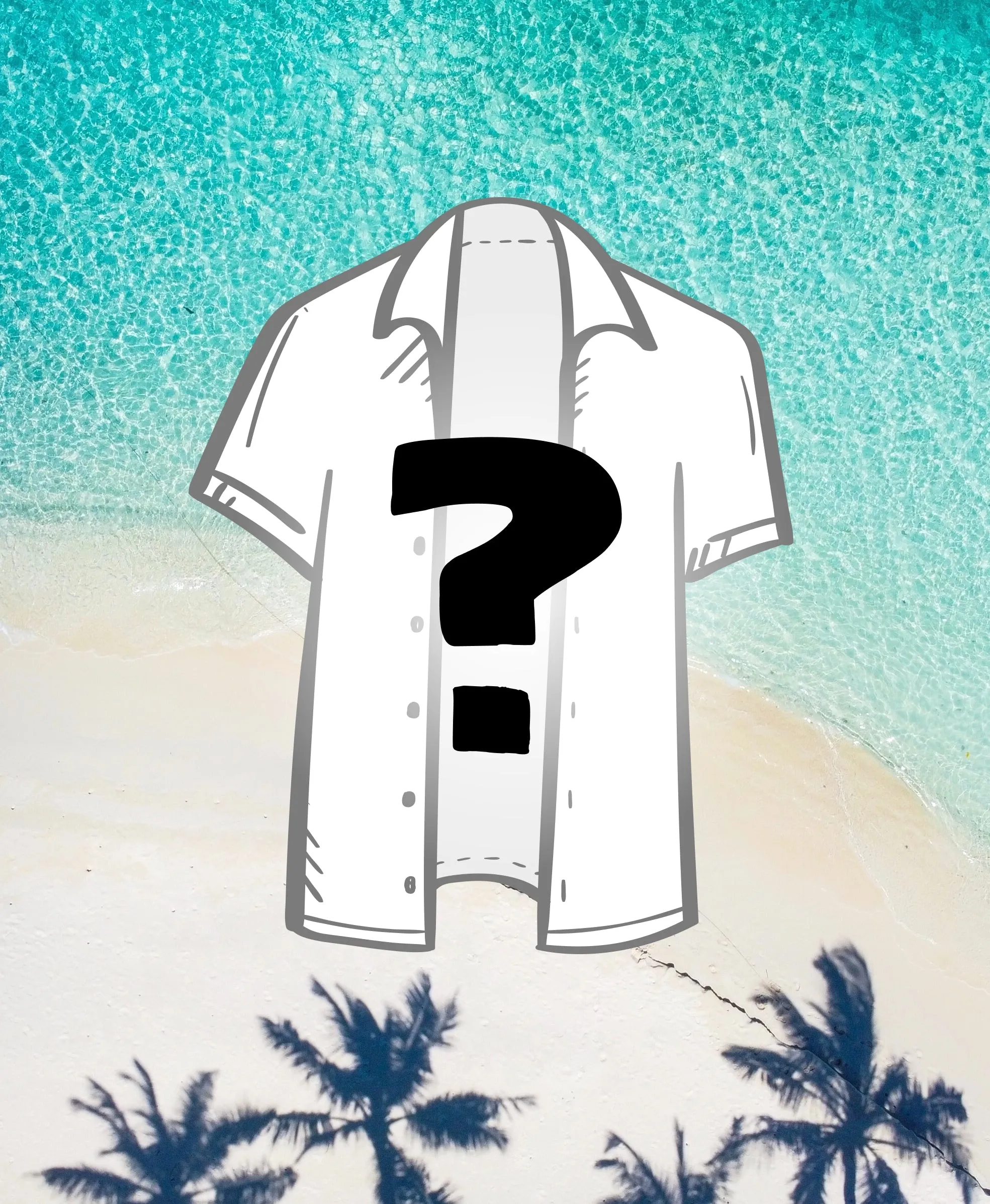 Mystery Shirt